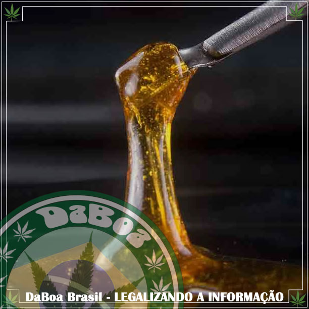DaBoa-Brasil-Legalizando-A-Informação-Dab-o-que-é-e-como-é-usado