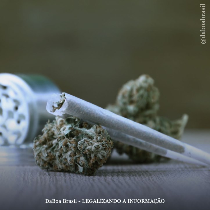 DaBoa-Brasil-Legalizando-A-Informação-blog-Juiz-alemão-recomenda-a-todos-os-juízes-que-fumem-maconha